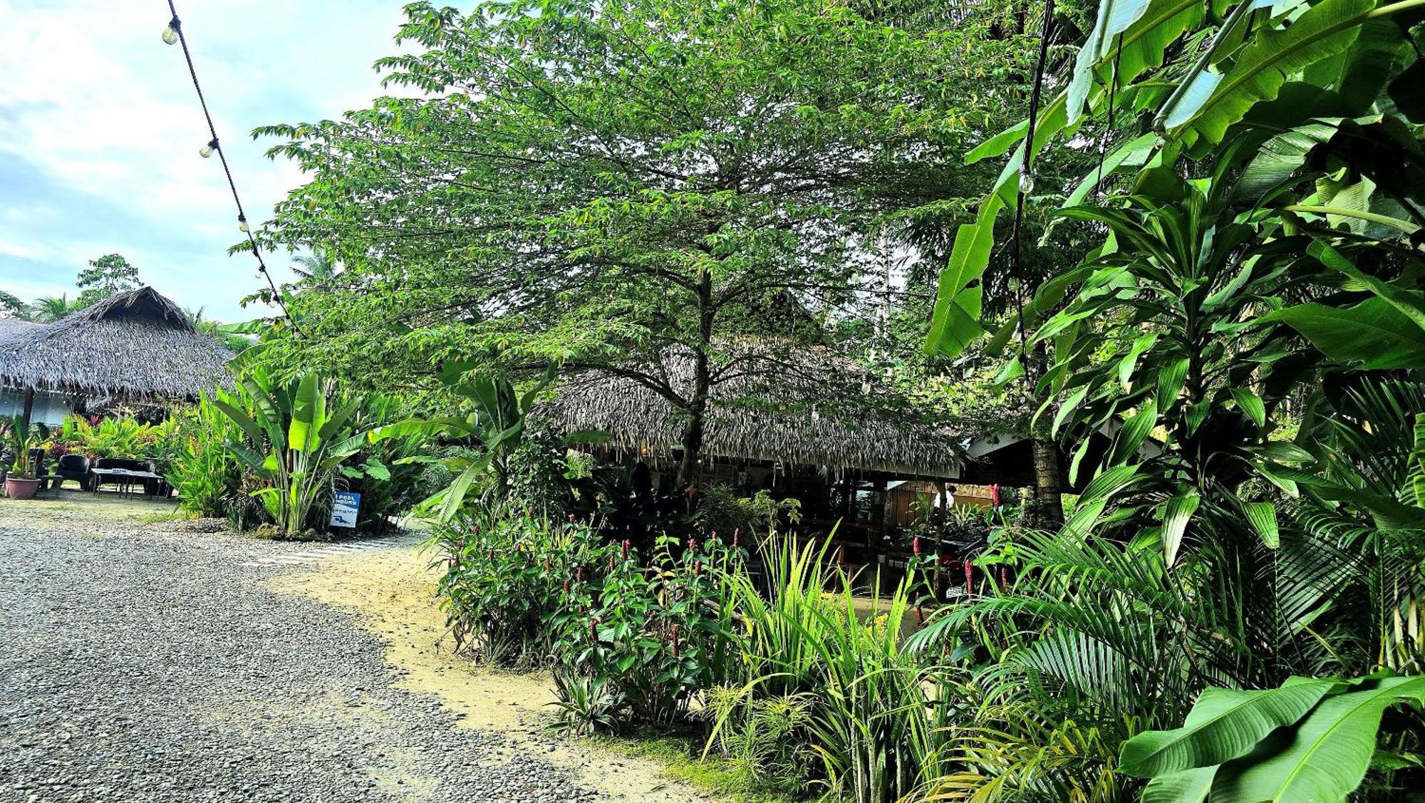 Isola Del Sole Villas And Resort General Luna  Buitenkant foto